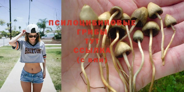 mdma Медногорск