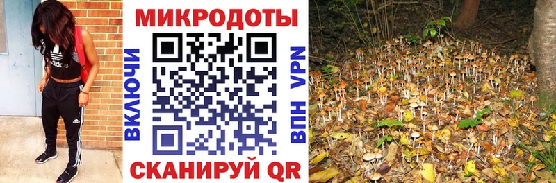 кракен ССЫЛКА  Мурманск  Псилоцибиновые грибы GOLDEN TEACHER 