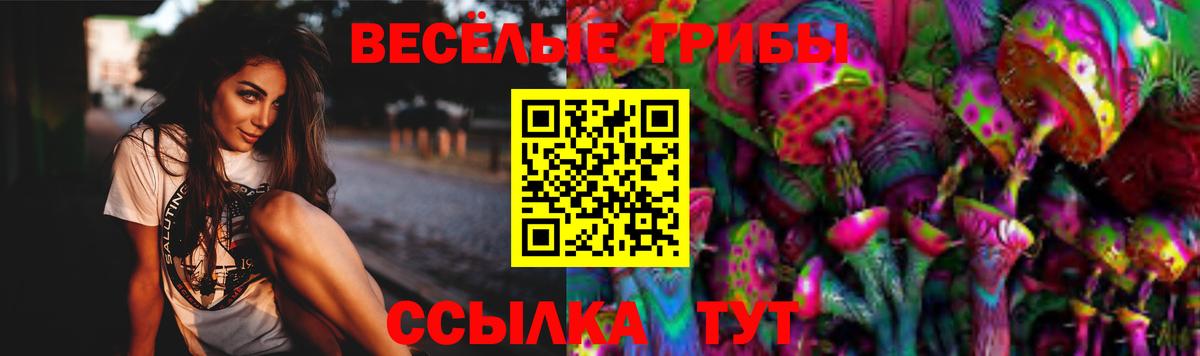 Мурманск  Галлюциногенные грибы Psilocybine cubensis  Вход с VPN 